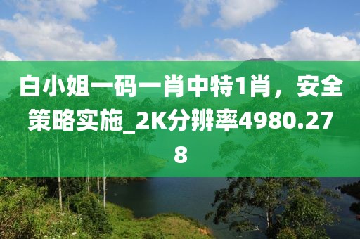 白小姐一碼一肖中特1肖，安全策略實(shí)施_2K分辨率4980.278
