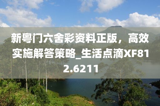 新粵門六舍彩資料正版，高效實施解答策略_生活點滴XF812.6211