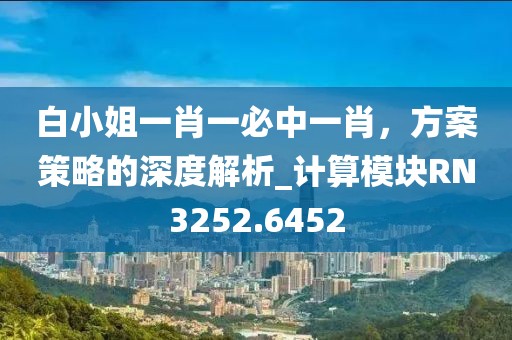 白小姐一肖一必中一肖，方案策略的深度解析_計(jì)算模塊RN3252.6452
