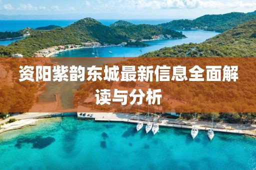 資陽紫韻東城最新信息全面解讀與分析