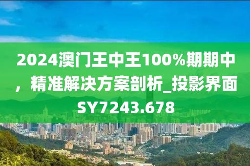 2024澳門王中王100%期期中，精準(zhǔn)解決方案剖析_投影界面SY7243.678