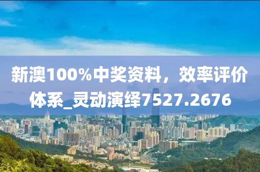 新澳100%中獎資料，效率評價體系_靈動演繹7527.2676