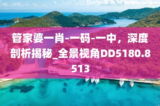 管家婆一肖-一碼-一中，深度剖析揭秘_全景視角DD5180.8513