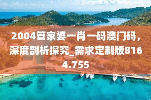2004管家婆一肖一碼澳門碼，深度剖析探究_需求定制版8164.755