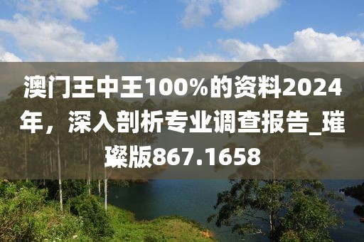 澳門王中王100%的資料2024年，深入剖析專業(yè)調(diào)查報告_璀璨版867.1658