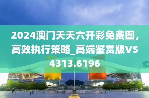 2024澳門天天六開(kāi)彩免費(fèi)圖，高效執(zhí)行策略_高端鑒賞版VS4313.6196