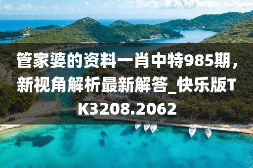 管家婆的資料一肖中特985期，新視角解析最新解答_快樂版TK3208.2062