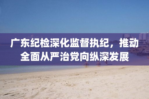 廣東紀(jì)檢深化監(jiān)督執(zhí)紀(jì)，推動全面從嚴(yán)治黨向縱深發(fā)展