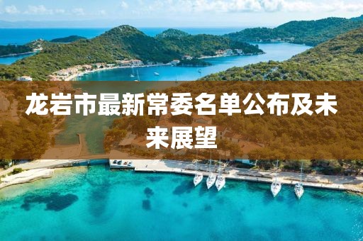 龍巖市最新常委名單公布及未來展望