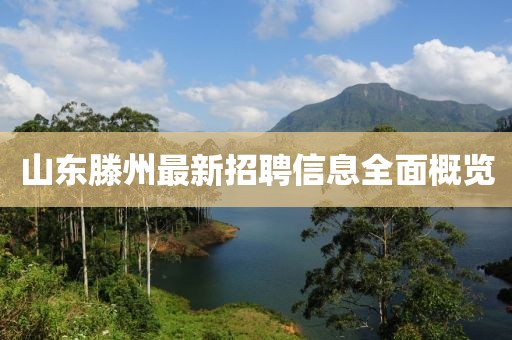山東滕州最新招聘信息全面概覽