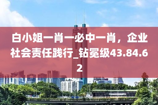白小姐一肖一必中一肖，企業(yè)社會責任踐行_鉆冕級43.84.62
