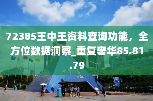 72385王中王資料查詢功能，全方位數(shù)據(jù)洞察_重復(fù)奢華85.81.79