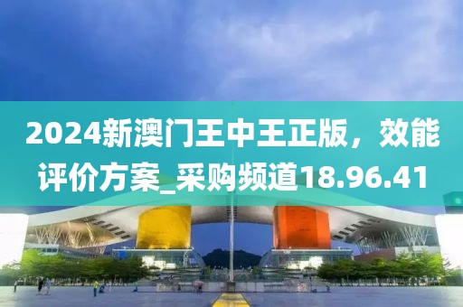 2024新澳門王中王正版，效能評價方案_采購頻道18.96.41