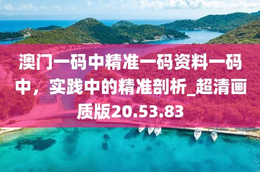 澳門一碼中精準(zhǔn)一碼資料一碼中，實(shí)踐中的精準(zhǔn)剖析_超清畫質(zhì)版20.53.83