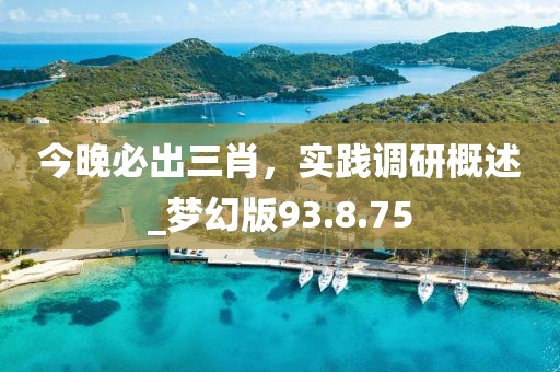 今晚必出三肖，實(shí)踐調(diào)研概述_夢(mèng)幻版93.8.75