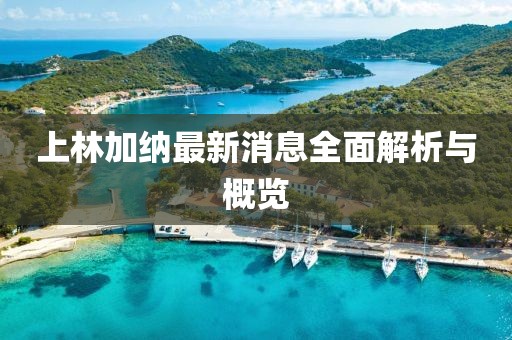 上林加納最新消息全面解析與概覽
