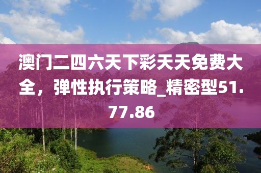澳門二四六天下彩天天免費大全，彈性執(zhí)行策略_精密型51.77.86