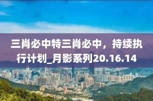 三肖必中特三肖必中，持續(xù)執(zhí)行計劃_月影系列20.16.14