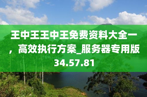 王中王王中王免費(fèi)資料大全一，高效執(zhí)行方案_服務(wù)器專用版34.57.81