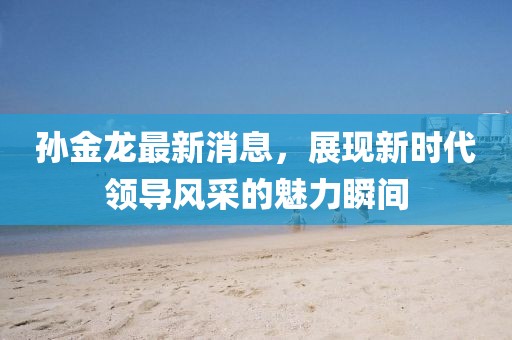 孫金龍最新消息，展現(xiàn)新時(shí)代領(lǐng)導(dǎo)風(fēng)采的魅力瞬間