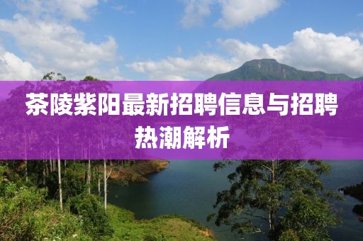 茶陵紫陽(yáng)最新招聘信息與招聘熱潮解析