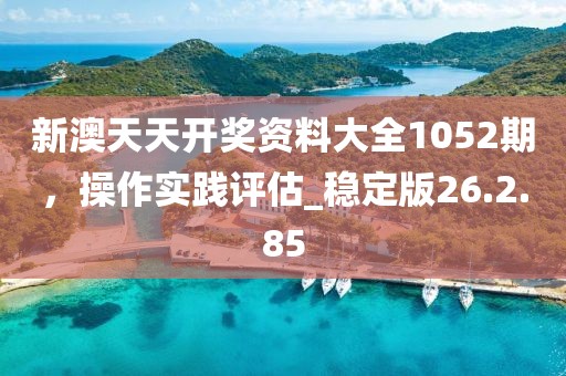 新澳天天開獎資料大全1052期，操作實踐評估_穩(wěn)定版26.2.85