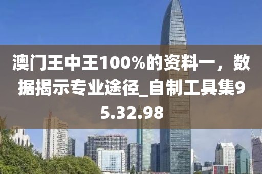 澳門王中王100%的資料一，數(shù)據(jù)揭示專業(yè)途徑_自制工具集95.32.98
