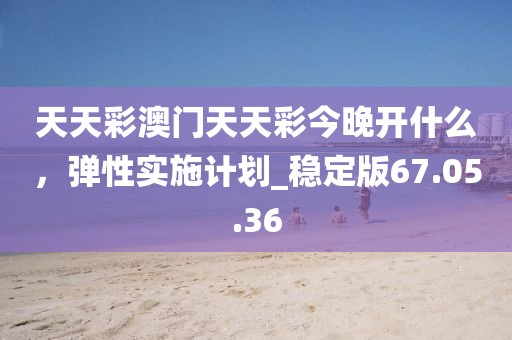 天天彩澳門天天彩今晚開什么，彈性實(shí)施計(jì)劃_穩(wěn)定版67.05.36
