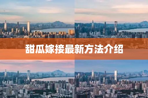 甜瓜嫁接最新方法介紹