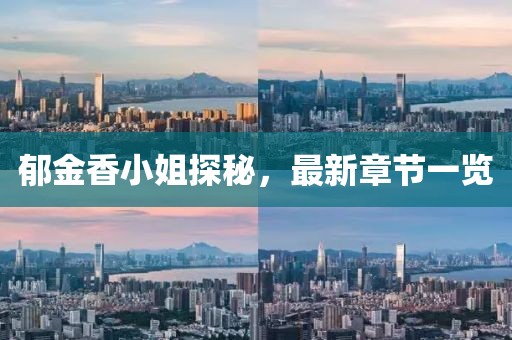 2024年11月 第20頁