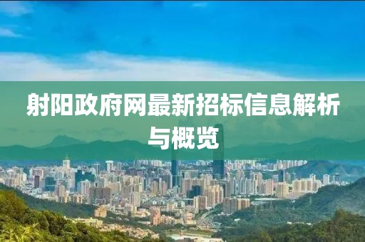 射陽政府網(wǎng)最新招標信息解析與概覽