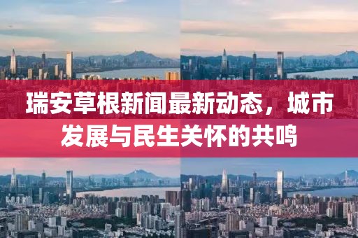 瑞安草根新聞最新動態(tài)，城市發(fā)展與民生關(guān)懷的共鳴