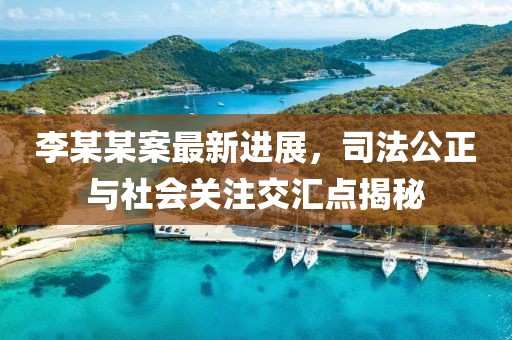 李某某案最新進展，司法公正與社會關(guān)注交匯點揭秘