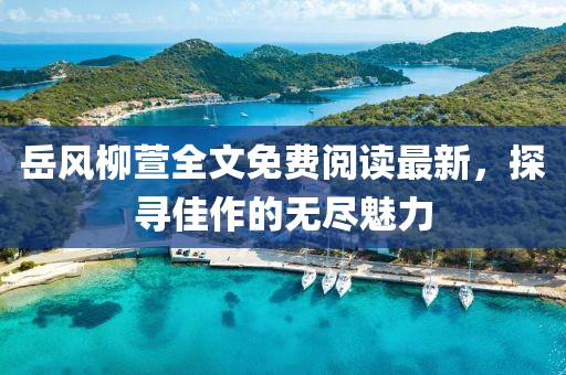 岳風(fēng)柳萱全文免費閱讀最新，探尋佳作的無盡魅力