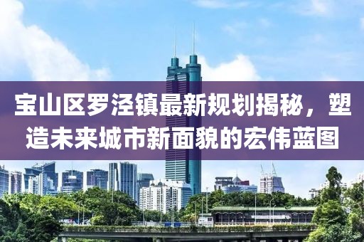 寶山區(qū)羅涇鎮(zhèn)最新規(guī)劃揭秘，塑造未來城市新面貌的宏偉藍圖