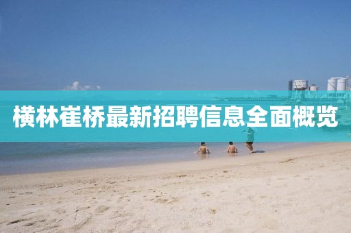 橫林崔橋最新招聘信息全面概覽