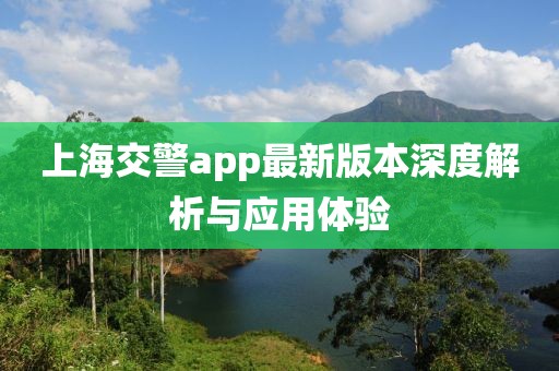 上海交警app最新版本深度解析與應(yīng)用體驗(yàn)