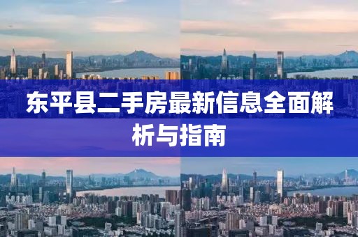 東平縣二手房最新信息全面解析與指南