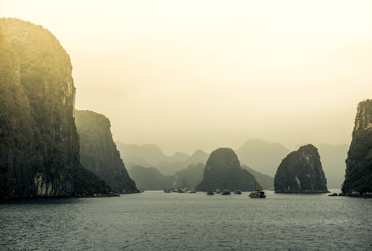 AVY最新動態(tài)，潮流前沿的創(chuàng)新引領