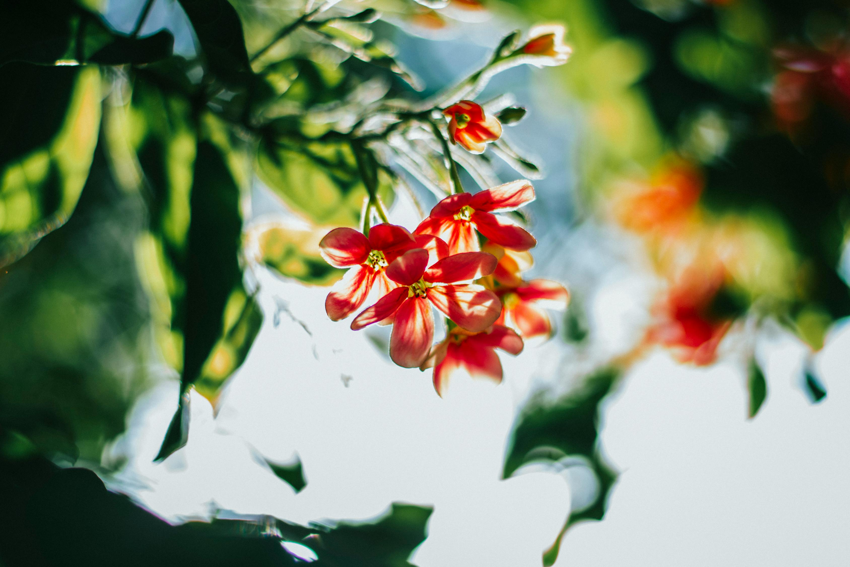縣域發(fā)展新動(dòng)態(tài)與社會(huì)熱點(diǎn)聚焦，最新舒城新聞綜述