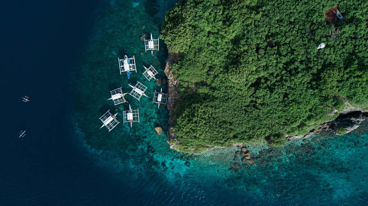 探索與樂趣的海洋之旅，鉤魚最新視頻揭秘！