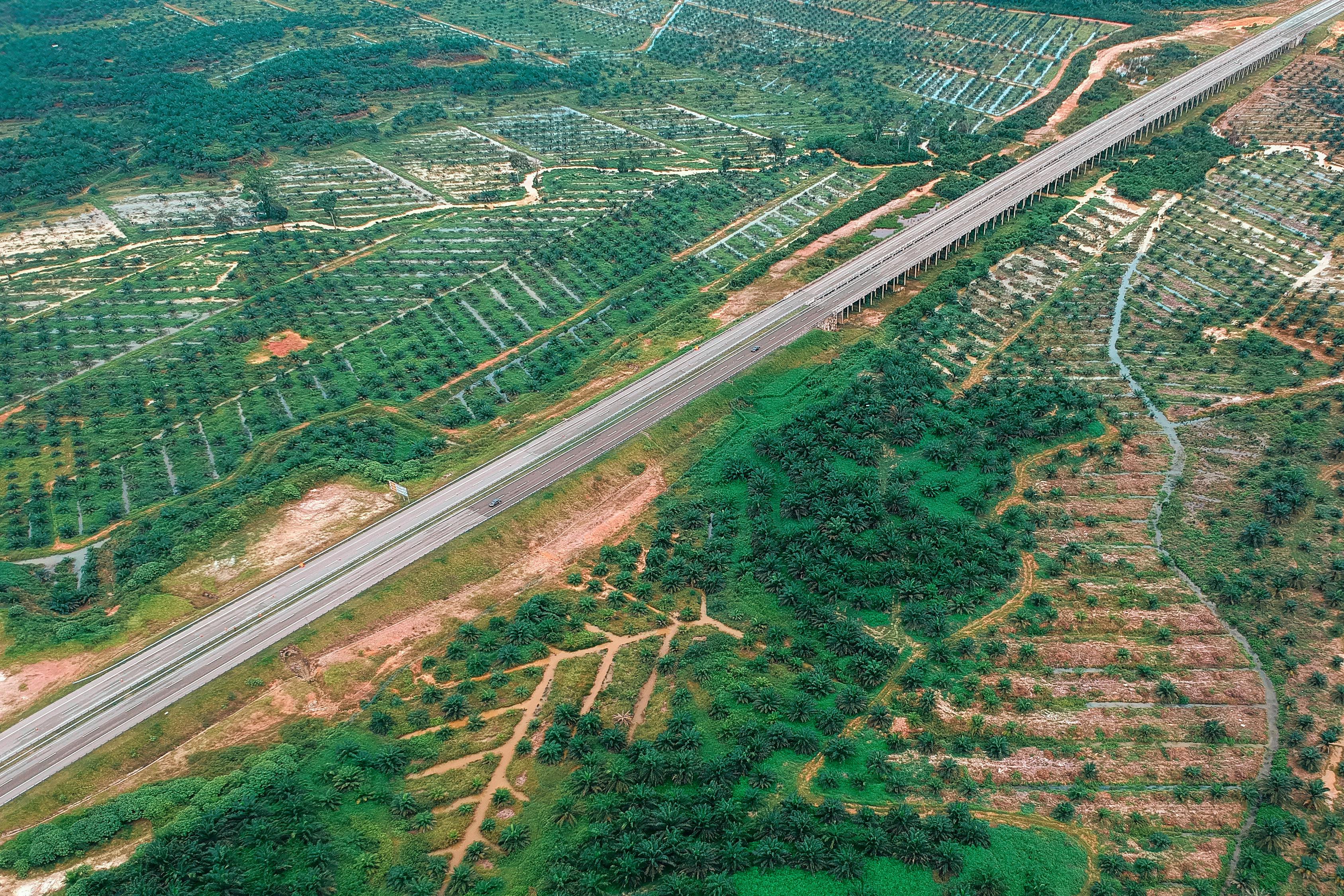 494949澳門今晚開什么454411，系統(tǒng)架構(gòu)規(guī)劃方案_活力演繹版96.98.1