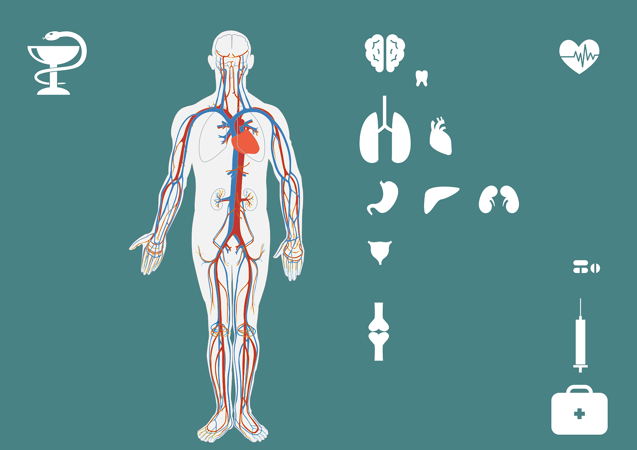發(fā)作性睡病研究新進(jìn)展與未來展望，最新突破揭秘！