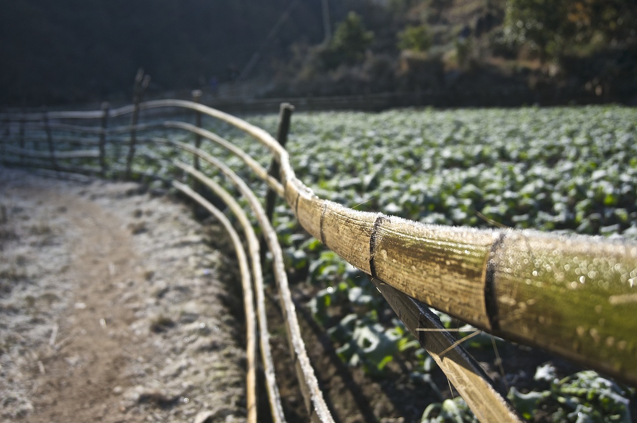 福特最新資訊概覽，掌握最新動(dòng)態(tài)與新聞