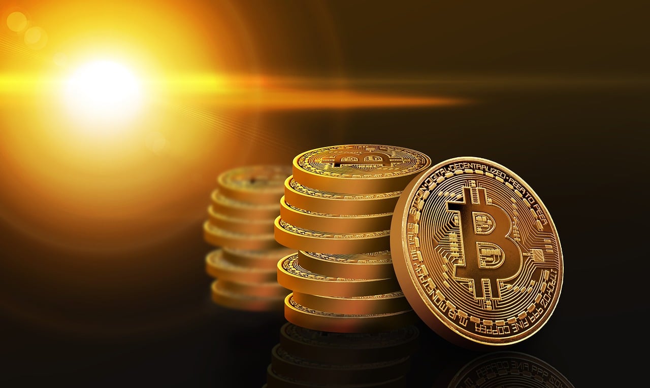 忘仙答題最新答案解析與探討，揭秘最新答案及探討交流