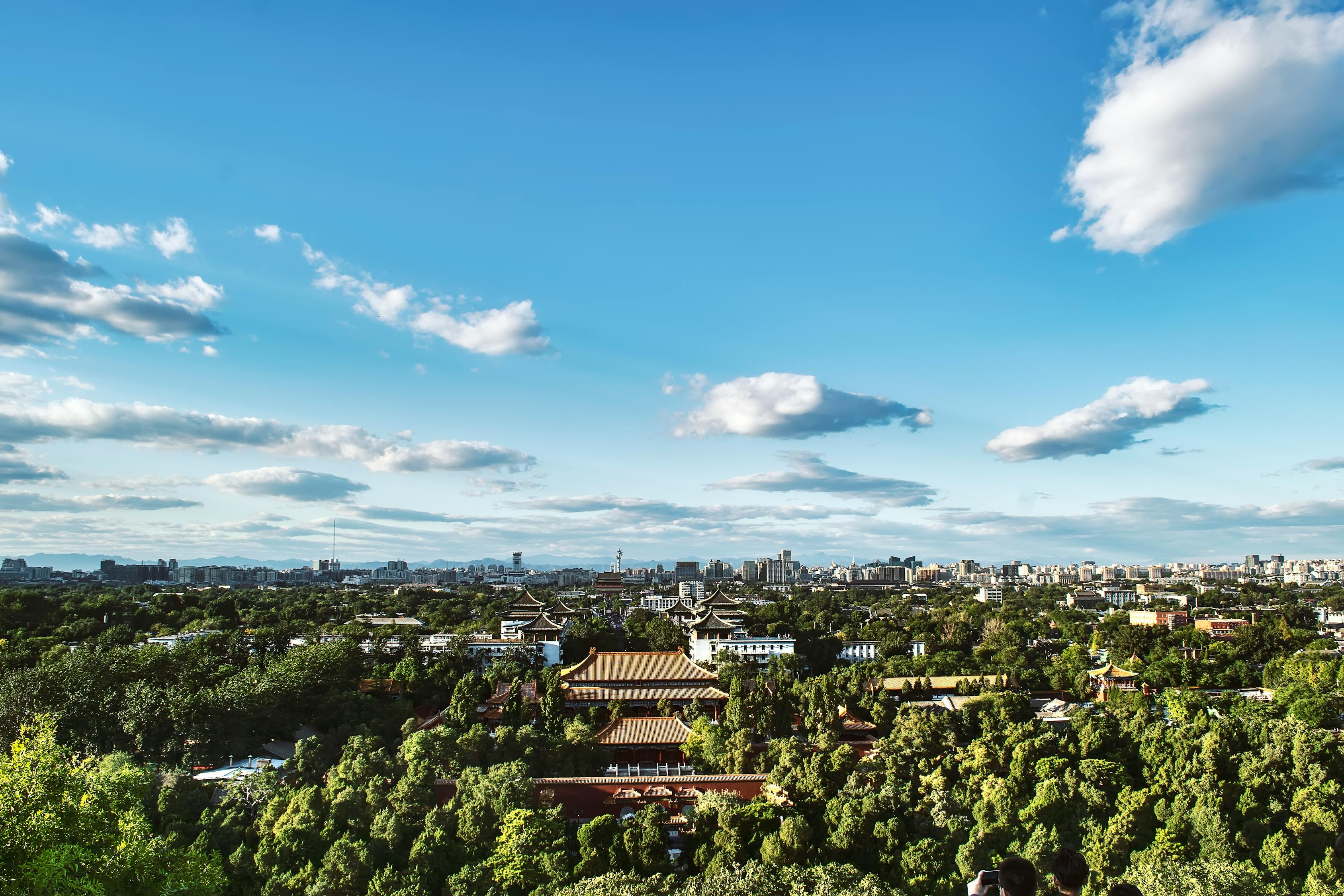 衡水新聞最新動態(tài)，城市發(fā)展與民生改善同步前行