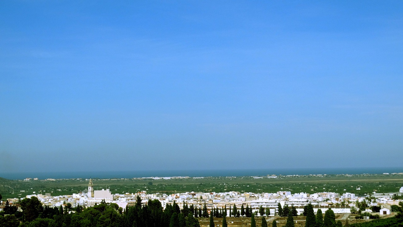 孝感市最新人事任免及動態(tài)更新