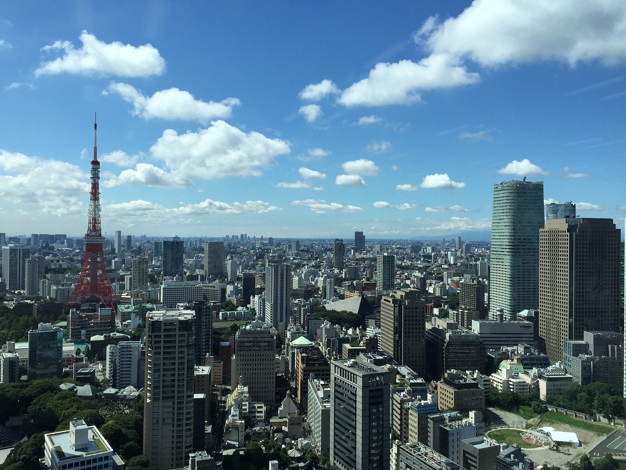 曲周最新房價動態(tài)及市場走勢，購房指南與最新趨勢分析