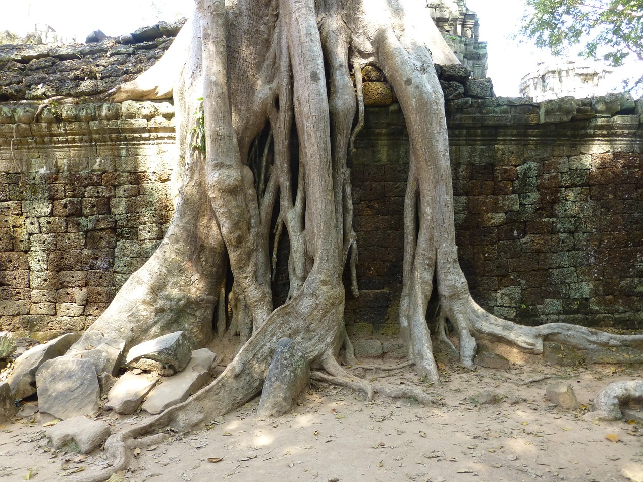 途樂最新動(dòng)態(tài)，豪華越野之旅的未來探索